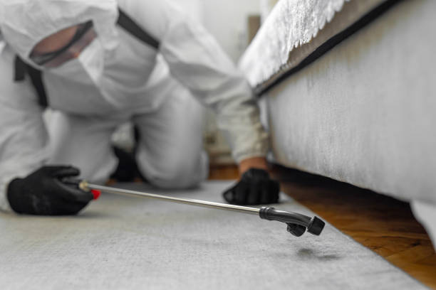 Professional Fumigation Services technician working in Adams County County, IN